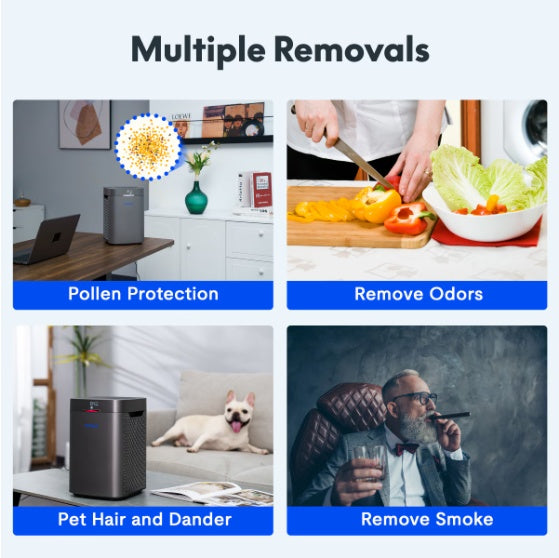 Y2-G FlowLite Air Purifier 34W, H13 HEPA  Carbon 3-in-1 Filter, 210 Sq Ft Room Coverage, Ultra Quiet Operation